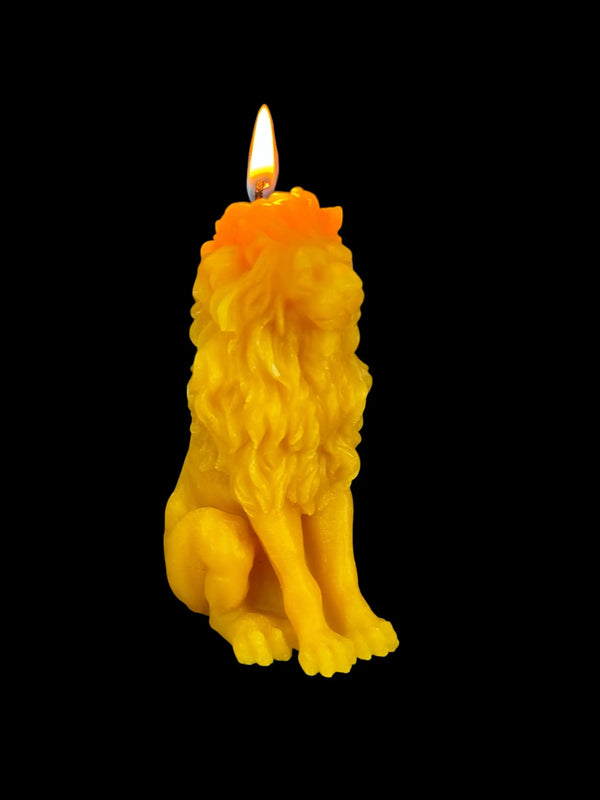 Regal Lion Anchor Candle (2.75 oz) Hive5Bees